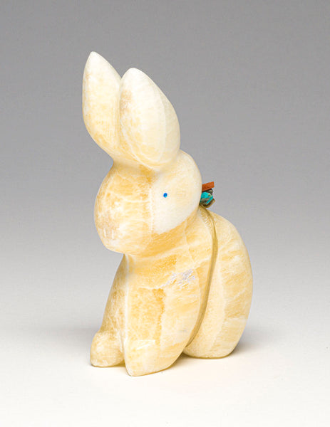 Burrowing Bunny