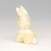 Playful Cottontail