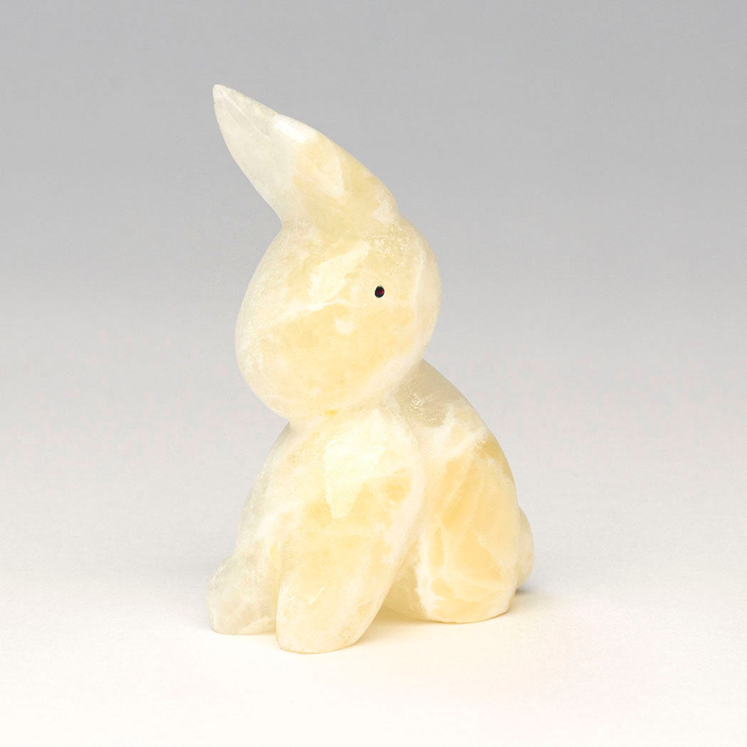 Playful Cottontail