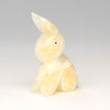 Playful Cottontail