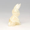 Playful Cottontail