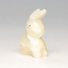Playful Cottontail