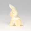 Playful Cottontail