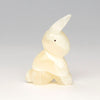 Playful Cottontail