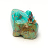 Water Bearer Frog
