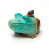 Water Bearer Frog