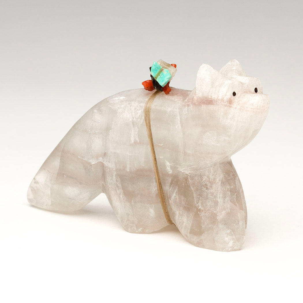 Bushytail Connection