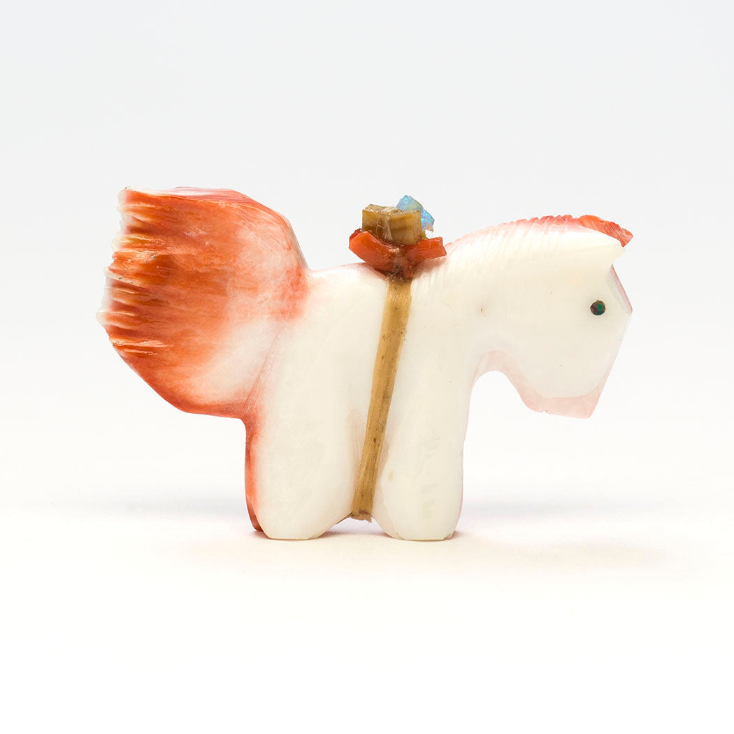 Bright Pony