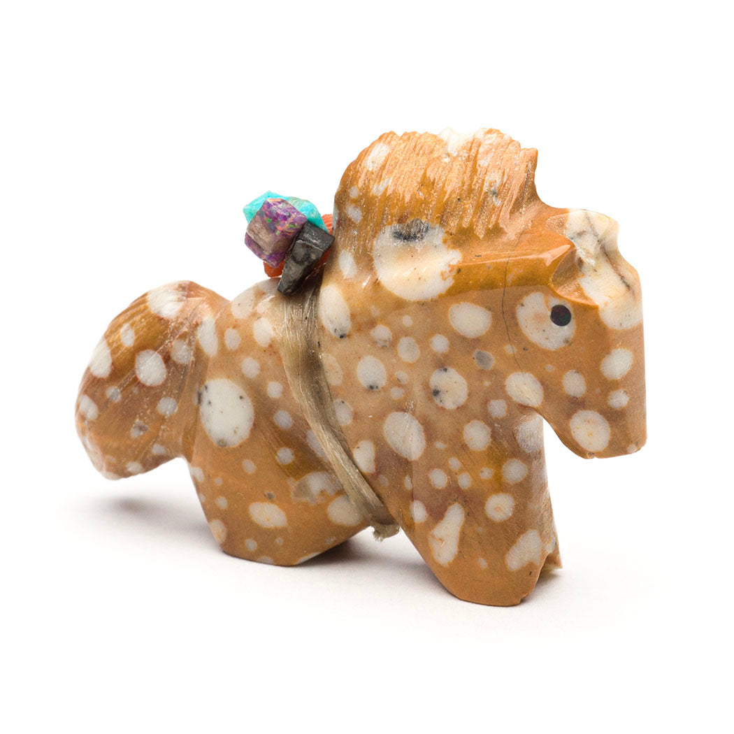 Spotted Pony