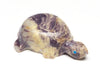 Encouraging Vibes Turtle
