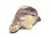 Encouraging Vibes Turtle