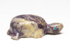 Encouraging Vibes Turtle