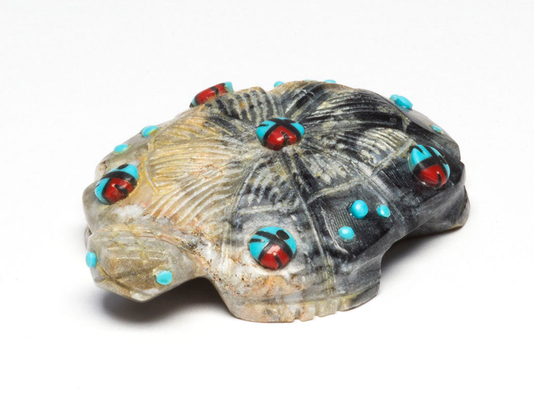 Sunface Turtle Blessing