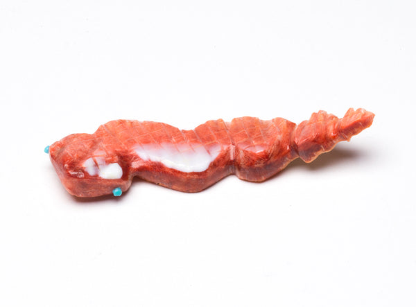 Spiny Oyster Snakelet