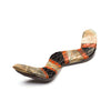 Western Coral Snake