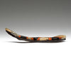 Western Coral Snake