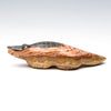Rolling Hills Dolomite Alligator