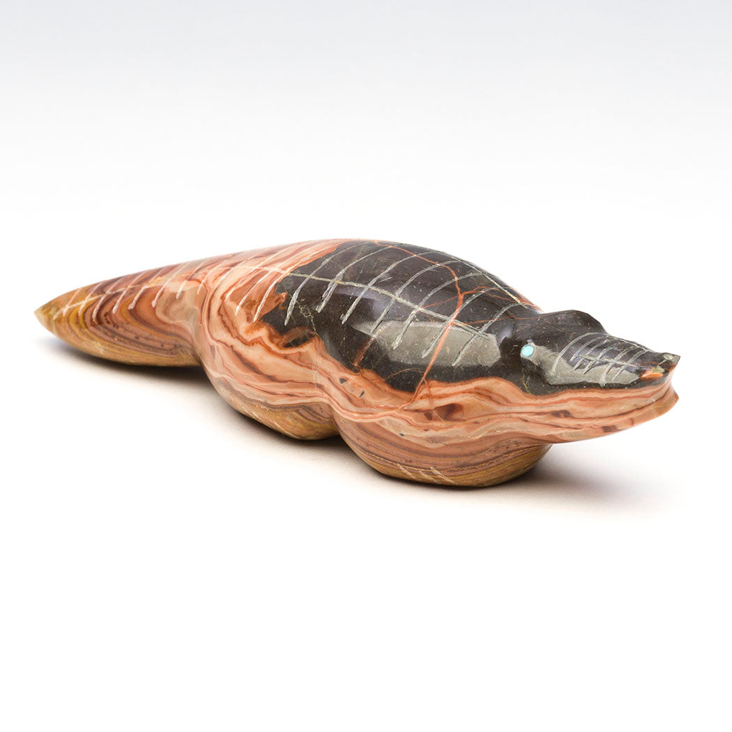 Rolling Hills Dolomite Alligator
