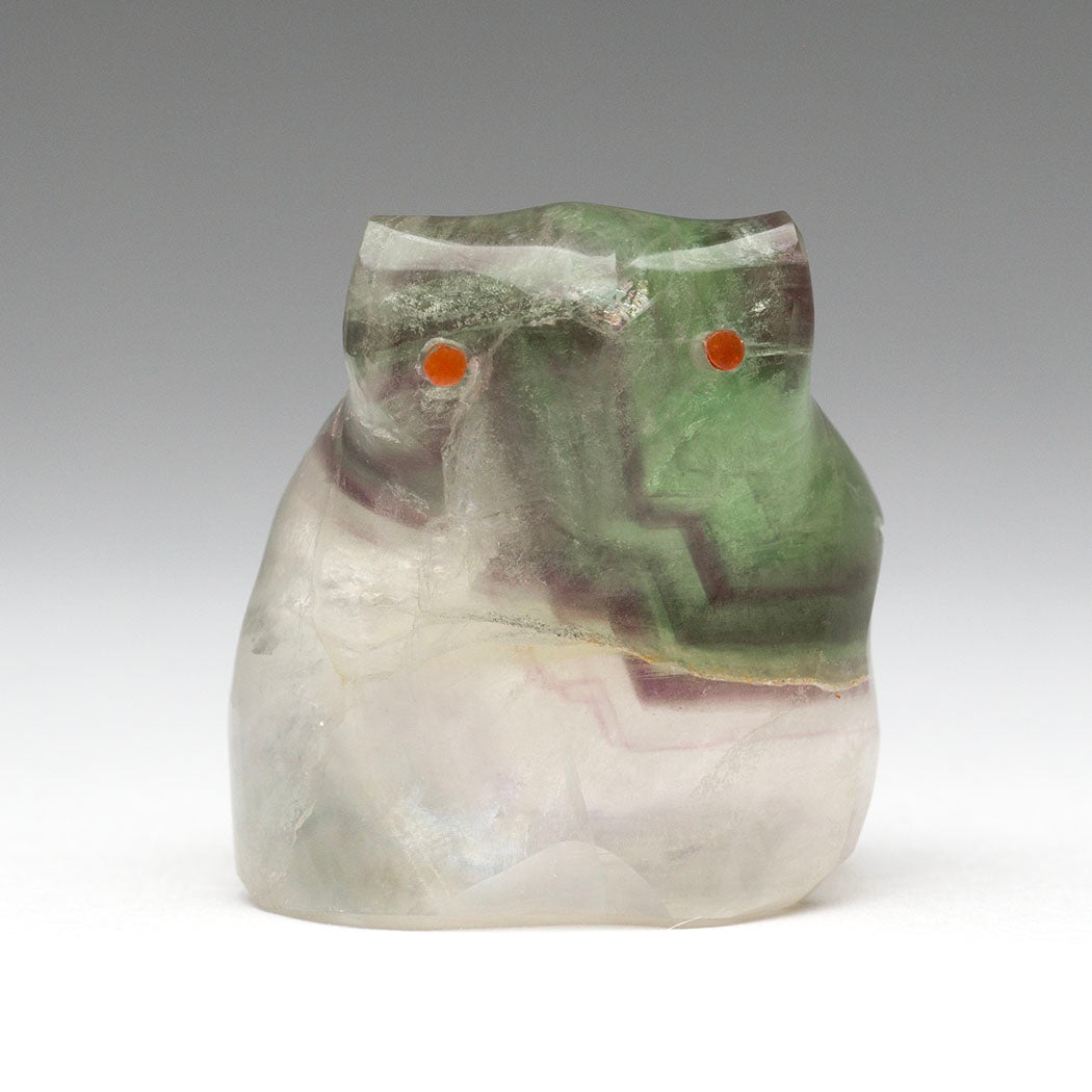 Quiet Wisdom Owl