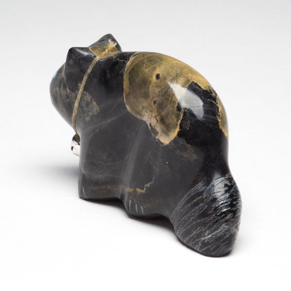 Curious Kitty Cat Keshi The Zuni Connection