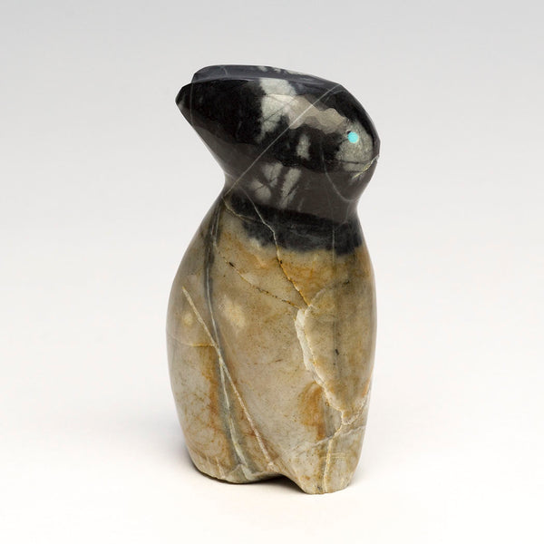 Twitching Nose Bunny