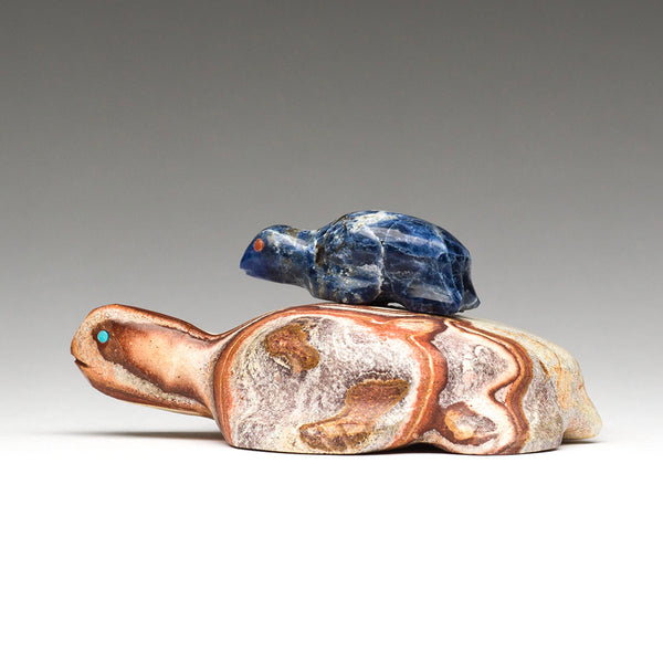 Watery Place Turtle Pairing