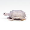 Young Fluorite Reptile