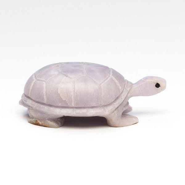 Young Fluorite Reptile