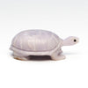 Young Fluorite Reptile