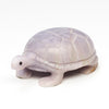 Young Fluorite Reptile