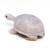 Young Fluorite Reptile
