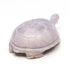 Young Fluorite Reptile