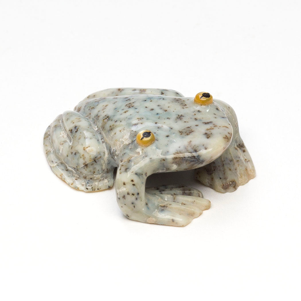 Sweet-Eyed Frog