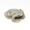 Sweet-Eyed Frog