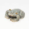Sweet-Eyed Frog