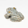 Sweet-Eyed Frog