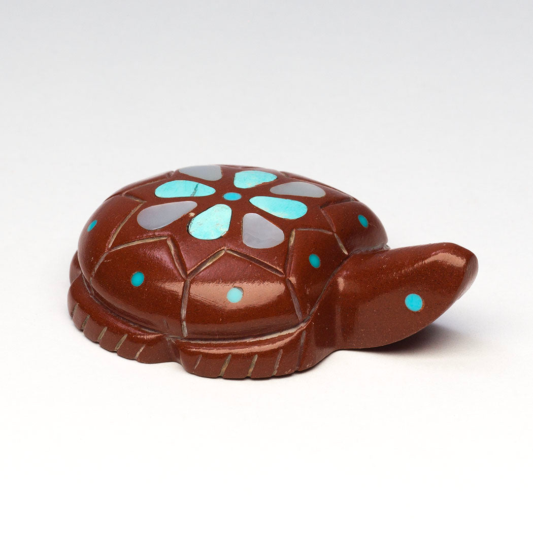 Blooming Turtle