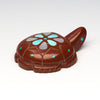 Blooming Turtle