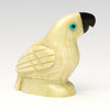 Ready To Chat Parrot
