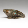 Autumn's Bounty Froglet