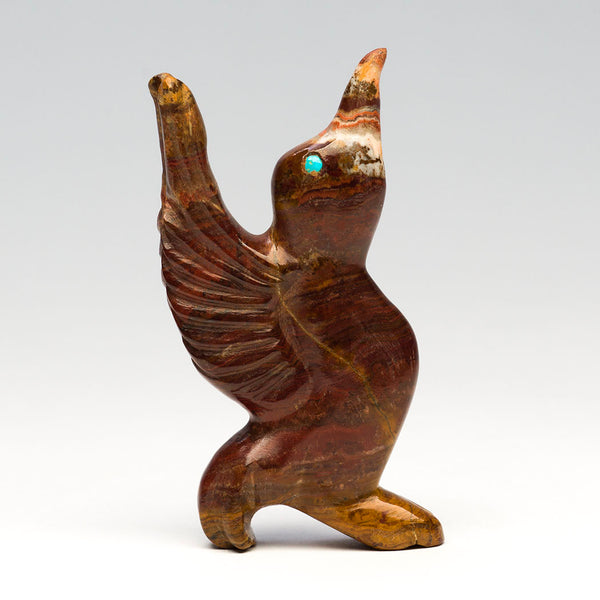 Extraordinary Hummingbird