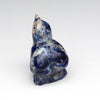 Bluebird Renewal