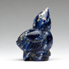 Bluebird Renewal