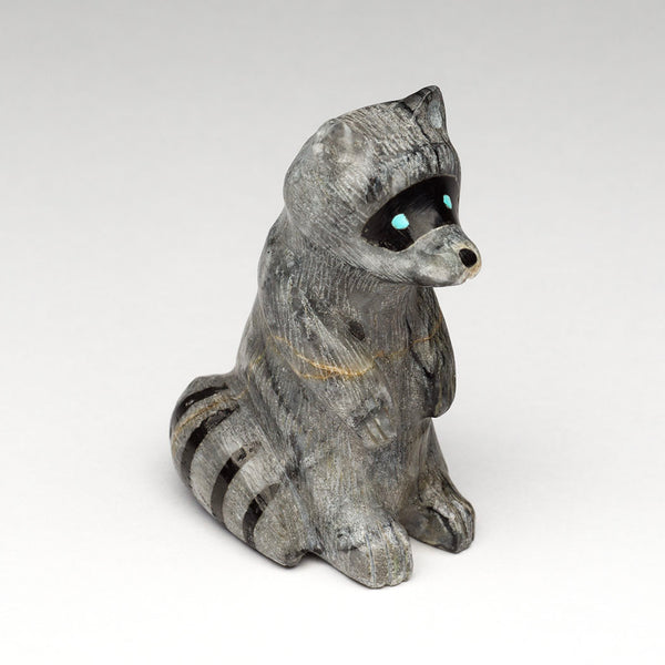 Have Fun Raccoon
