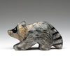 Mountain Raccoon