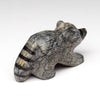 Mountain Raccoon