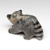 Mountain Raccoon