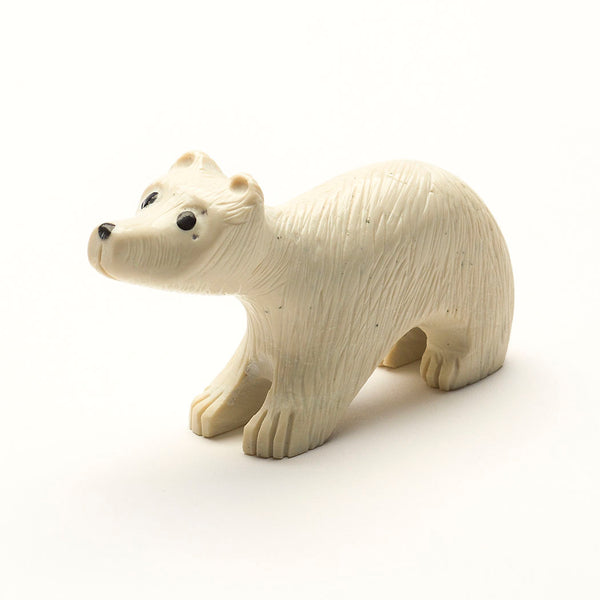 Precious Polar Bear