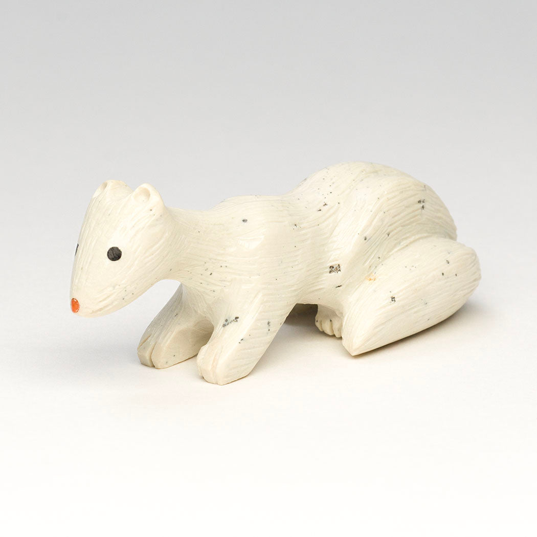 Snow Weasel