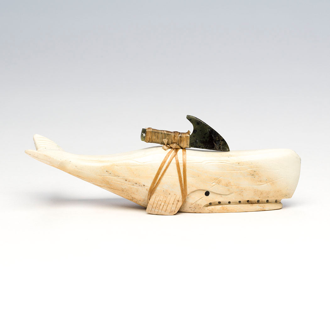 Sperm Whale Predator